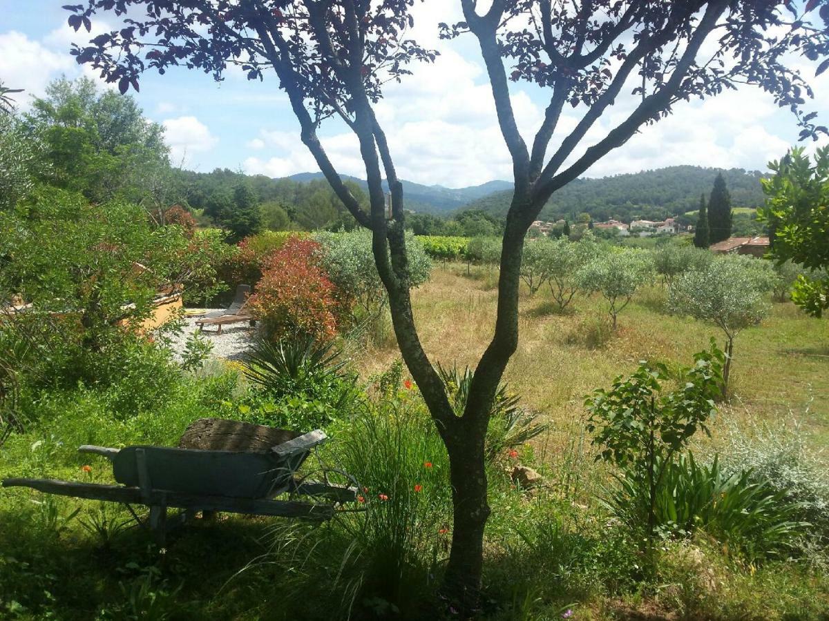Hotel Les Anes De Petit Jean Pierrefeu-du-Var Zewnętrze zdjęcie