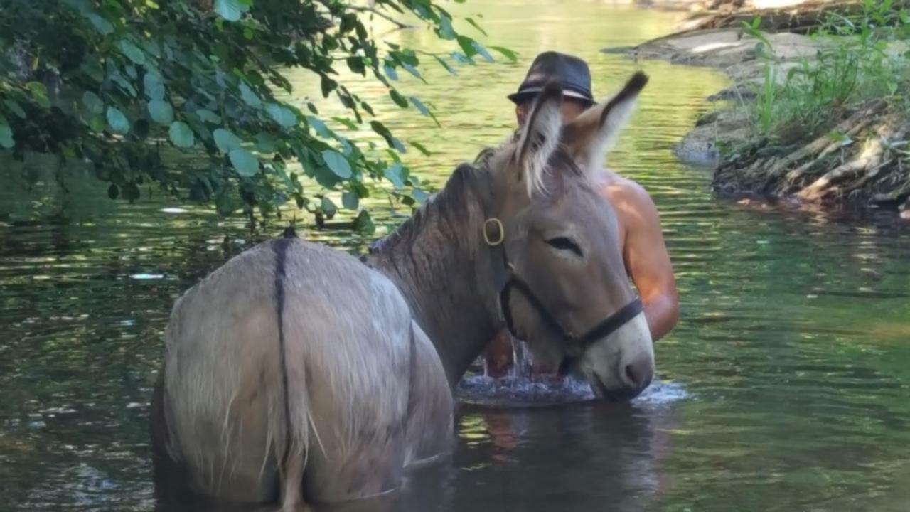 Hotel Les Anes De Petit Jean Pierrefeu-du-Var Zewnętrze zdjęcie