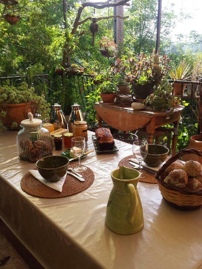 Hotel Les Anes De Petit Jean Pierrefeu-du-Var Zewnętrze zdjęcie